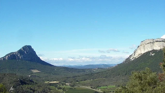Affiche du film : 36 vues du Pic Saint-Loup