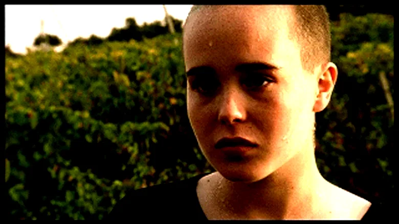 Photo du film : Rebelle Adolescence