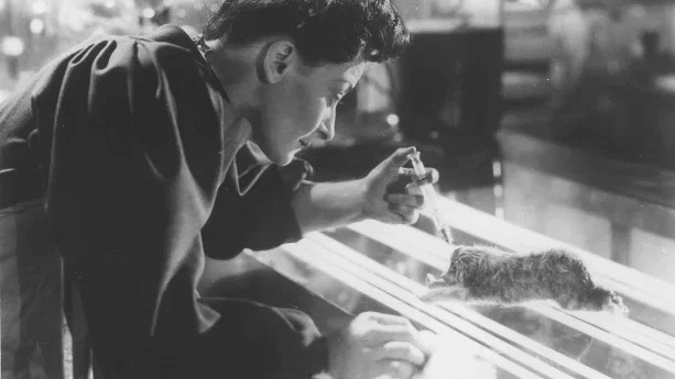 Photo du film : Les Poupées du Diable