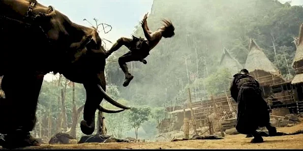 Photo du film : Ong-Bak 2, la naissance du dragon