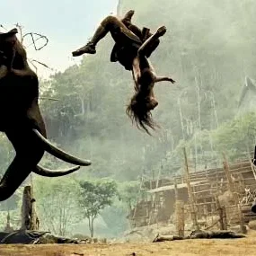 Miniature photo du film : Ong-Bak 2, la naissance du dragon
