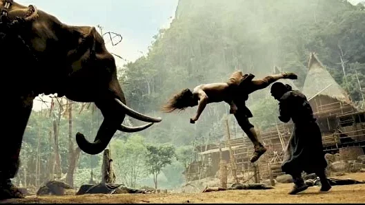 Affiche du film : Ong-Bak 2, la naissance du dragon