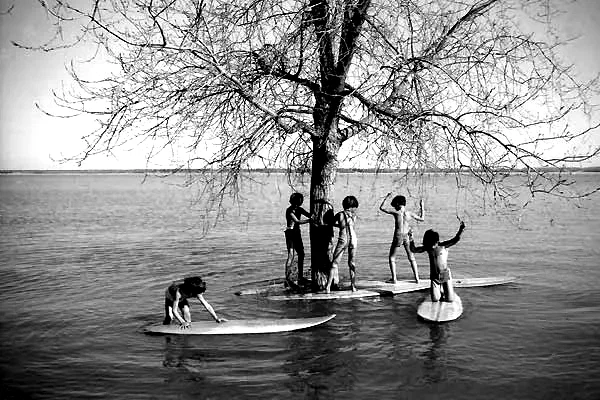 Photo du film : Surfwise