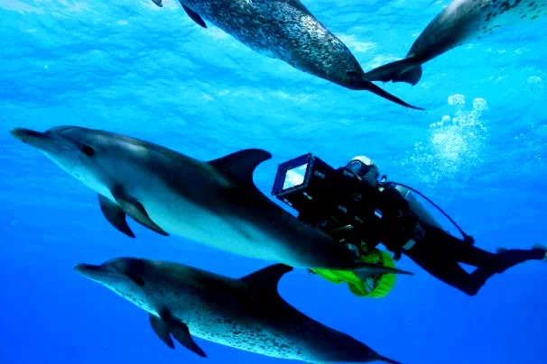 Photo 3 du film : Voyage sous les mers 3D