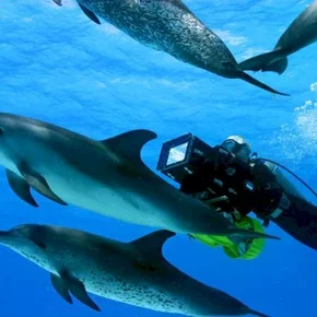 Photo du film : Voyage sous les mers 3D