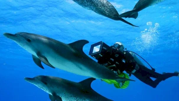 Photo 3 du film : Voyage sous les mers 3D