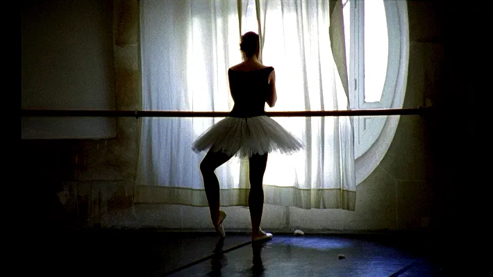 Photo 2 du film : La danse, le ballet de l'opéra de Paris