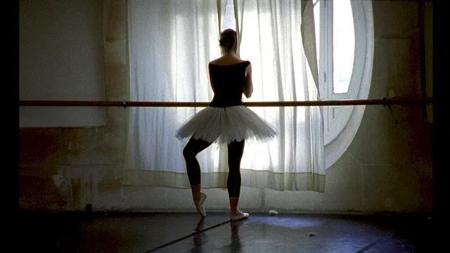 Photo du film : La danse, le ballet de l'opéra de Paris