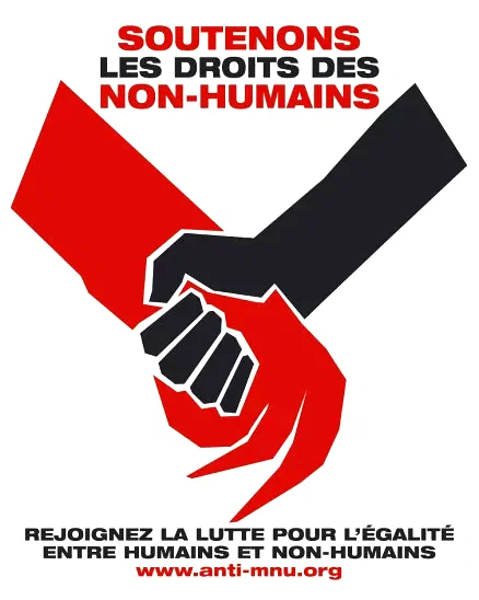 Photo 20 du film : District 9