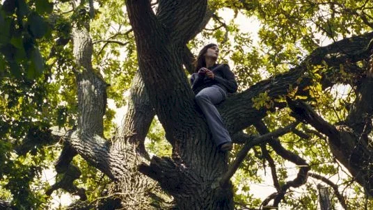 Photo du film : Au voleur