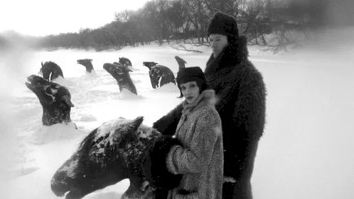 Photo 3 du film : Winnipeg mon amour