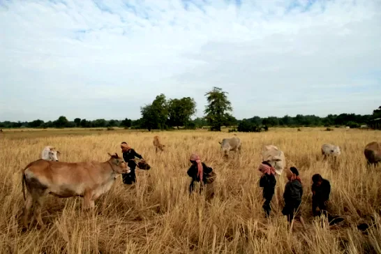 Photo du film : L'important c'est de rester vivant