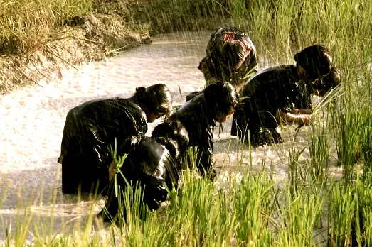 Photo du film : L'important c'est de rester vivant