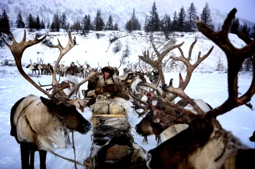 Photo 4 du film : Loup