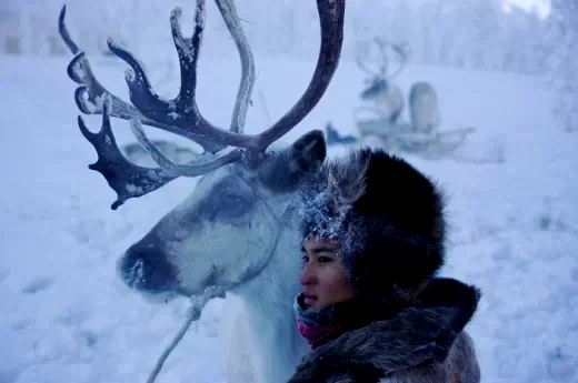 Photo 9 du film : Loup