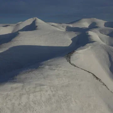 Miniature photo du film : Loup