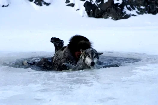 Photo 16 du film : Loup