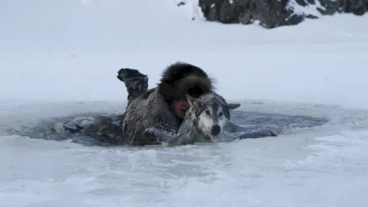Photo du film : Loup