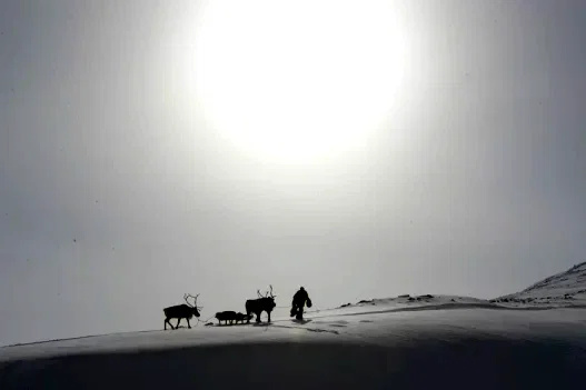 Photo 17 du film : Loup