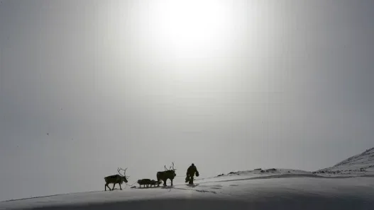 Photo du film : Loup