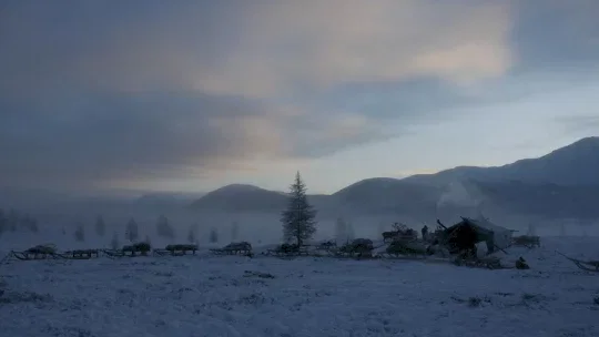 Photo du film : Loup
