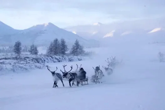 Photo 23 du film : Loup