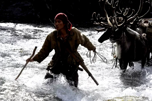 Photo 30 du film : Loup