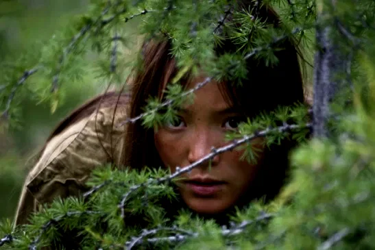 Photo 37 du film : Loup
