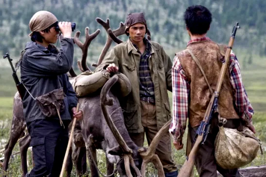 Photo 39 du film : Loup