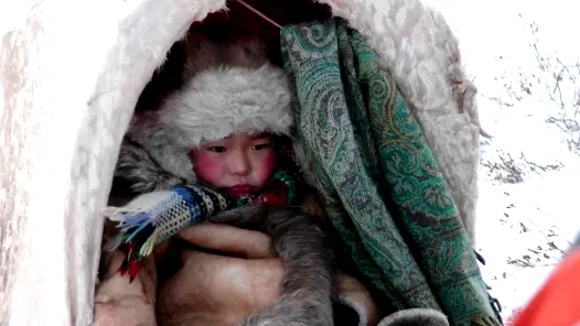 Photo 43 du film : Loup