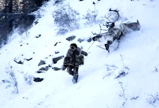 Photo 45 du film : Loup