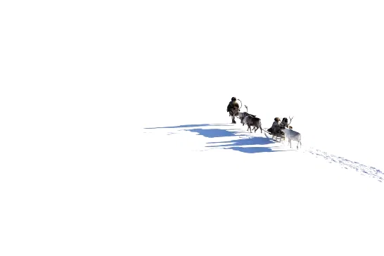 Photo 46 du film : Loup