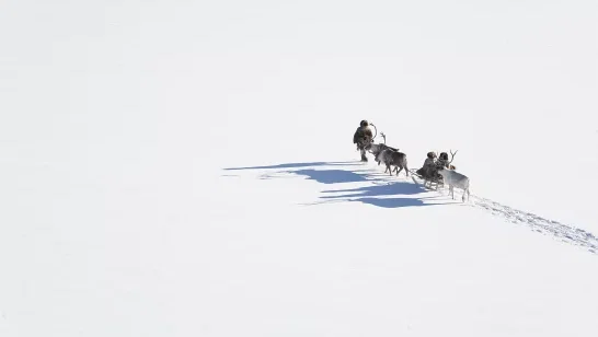 Photo du film : Loup