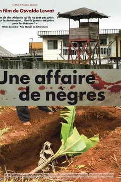 Affiche du film Une affaire de nègres