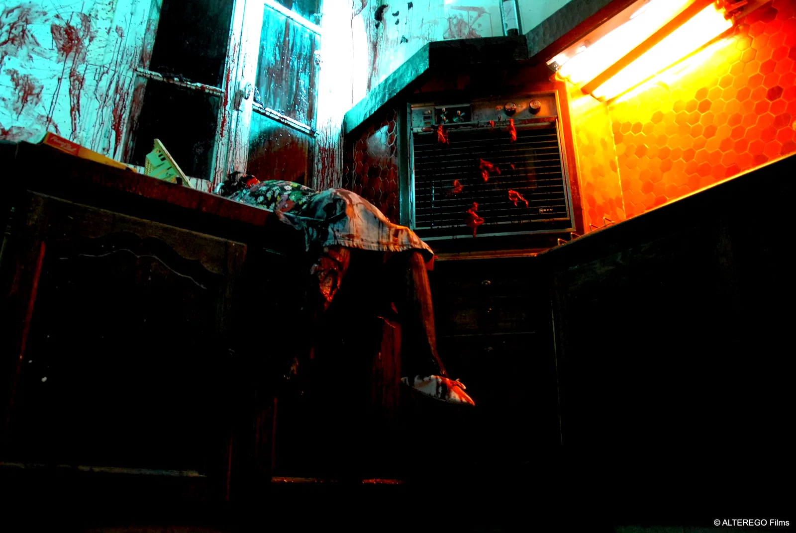 Photo 5 du film : Lady Blood