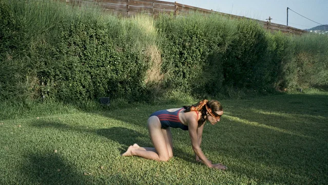Photo du film : Canine