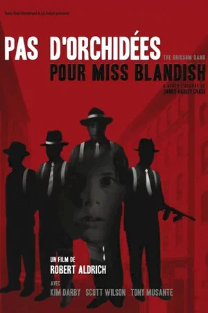 Affiche du film : Pas d'orchidées pour Miss Blandish