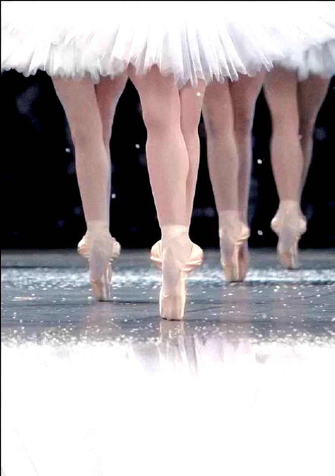 Photo 4 du film : La danse, le ballet de l'opéra de Paris