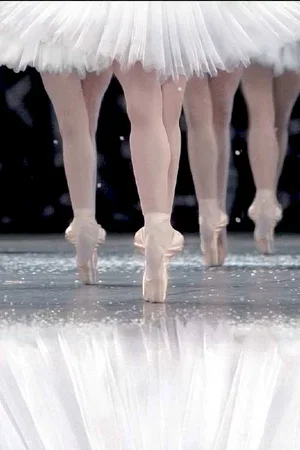 Photo du film : La danse, le ballet de l'opéra de Paris