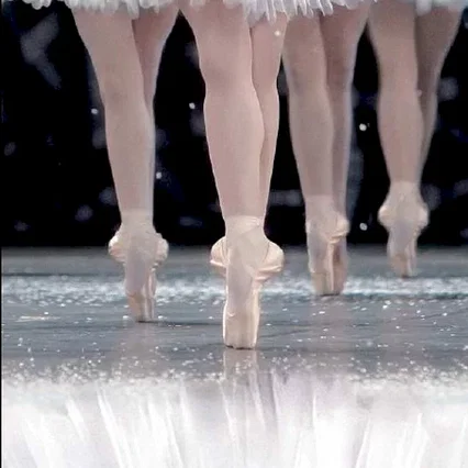 Miniature photo du film : La danse, le ballet de l'opéra de Paris