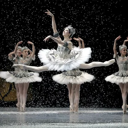 Miniature photo du film : La danse, le ballet de l'opéra de Paris