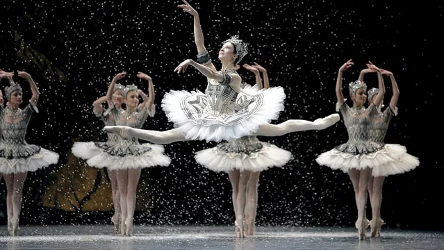 Photo du film : La danse, le ballet de l'opéra de Paris