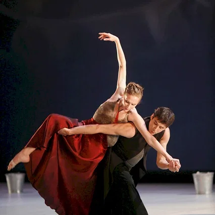 Miniature photo du film : La danse, le ballet de l'opéra de Paris