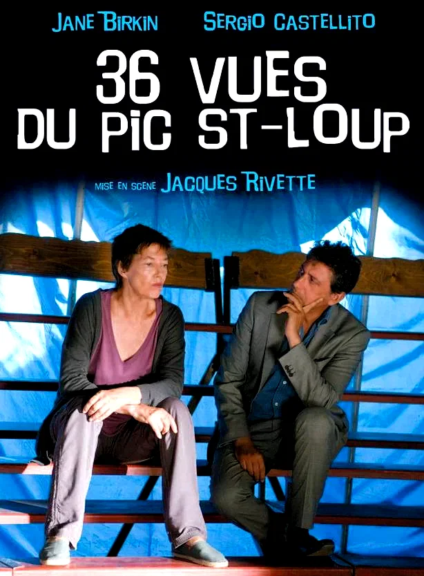 Affiche du film : 36 vues du Pic Saint-Loup