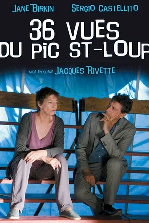 Affiche du film : 36 vues du Pic Saint-Loup