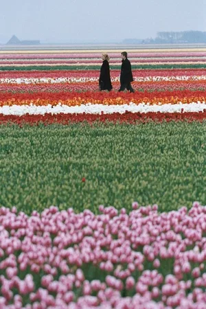 Photo du film : Mon ange