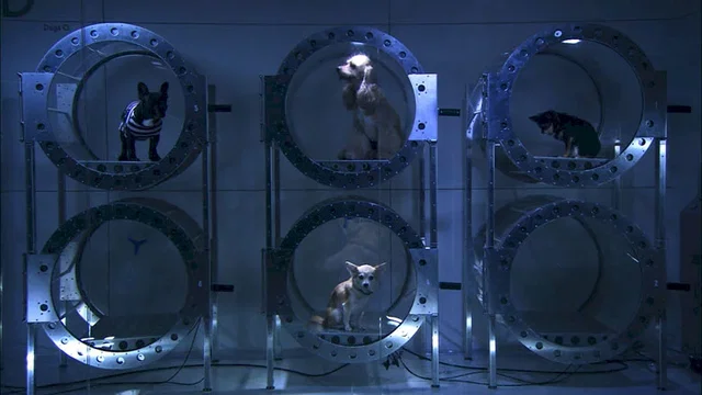Photo du film : Le Syndrome du Titanic