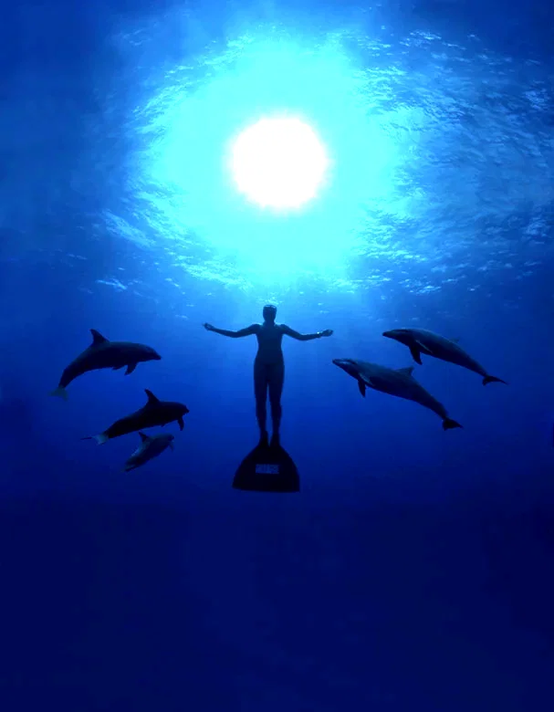 Photo du film : The Cove - La Baie de la Honte