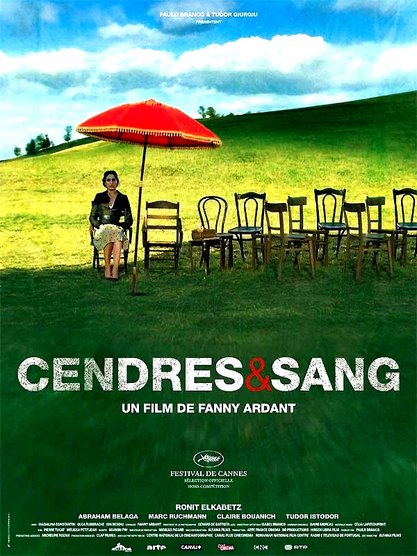 Affiche du film : Cendres et sang