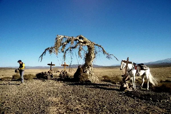 Photo 7 du film : Lucky Luke